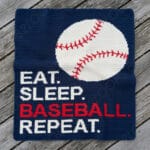 baseball sc 01
