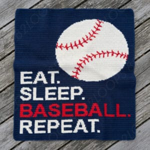 baseball sc 01
