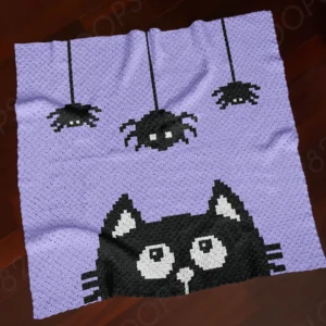 Cat and Spiders Baby Blanket Crochet Pattern C2C