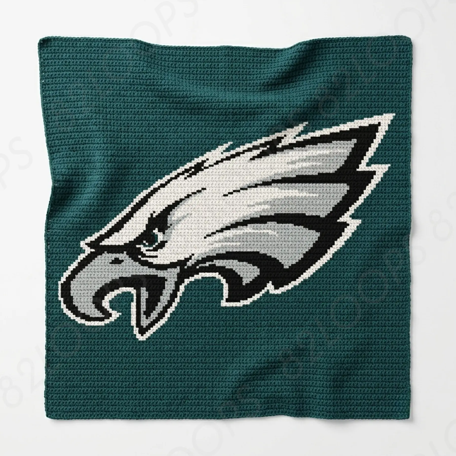 phila eaglesblanketsc 01 Philadelphia Eagles Crochet Blanket Pattern SC